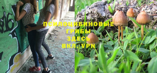 PSILOCYBIN Волосово