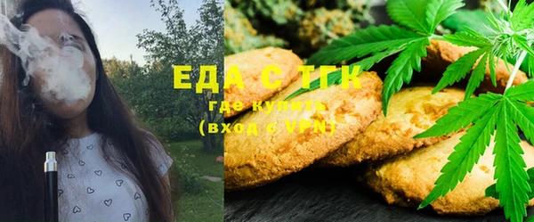 PSILOCYBIN Волосово