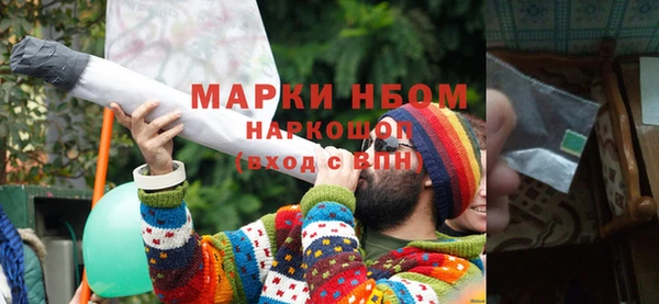 PSILOCYBIN Волосово